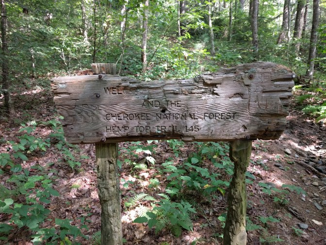 img_20160828_1151051