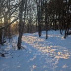 premises and promises