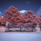 excessive heat warning