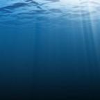 To Bright Eyes, To Texas