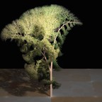 Beyond Computation: Incompleteness in Logic, Science, and Zen